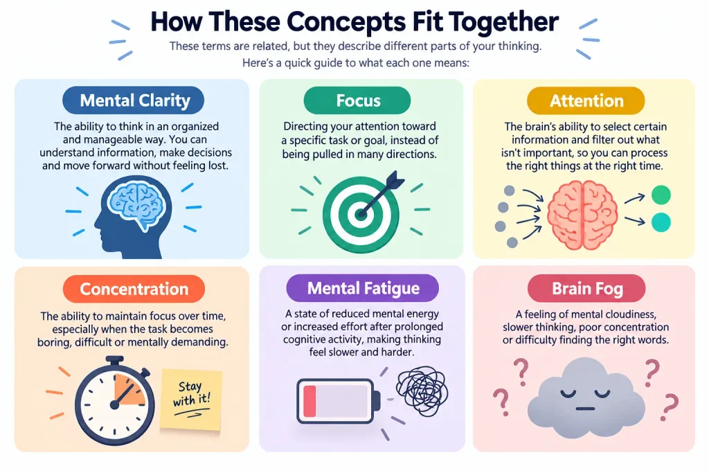 What is mental clarity and how it differs from focus, attention, and brain fog